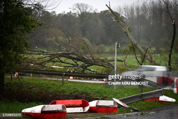 This photograph shows fallen trees next to the D972 road, near Saint Gilles, northwestern France, on November 2 as the storm Ciaran hits the region....