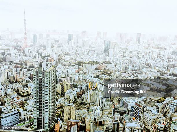 Foggy Tokyo view