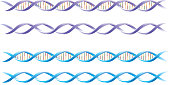 DNA molecular