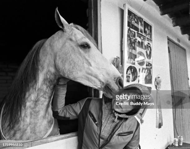 Champion Arab horse in a stall nuzzles his handler on the cheek, at the annual National Arab Horse Show held in Albuquerque, New Mexico, 1971.