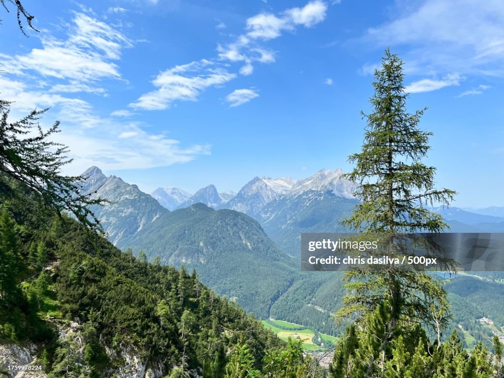 Scenic view of pine trees against sky,Mittenwald,Bavaria,Germany
