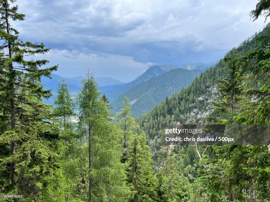 Scenic view of forest against sky,Mittenwald,Bavaria,Germany
