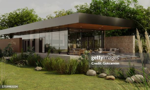 exterior of luxurious modern villa with swimming pool and garden. - trädgård bildbanksfoton och bilder