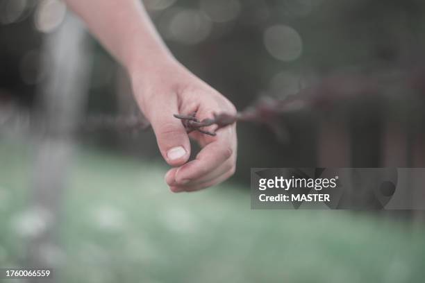 child hand on wire - female looking away from camera serious thinking outside natural stock pictures, royalty-free photos & images