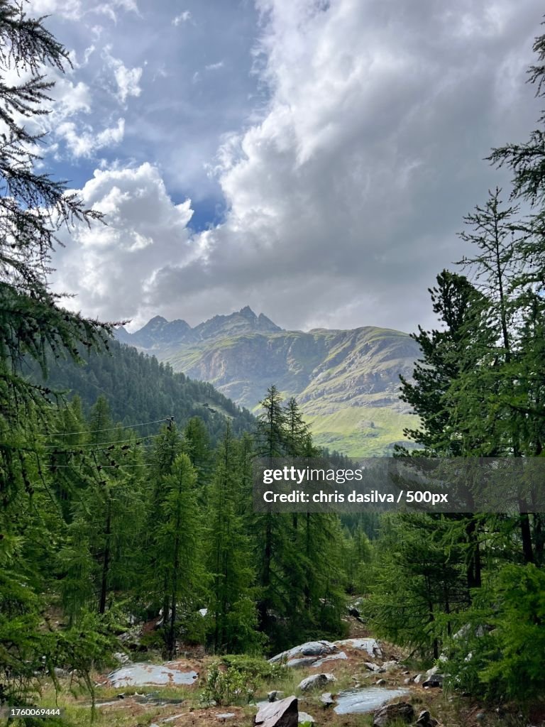 Scenic view of forest against sky,Zermatt,Switzerland