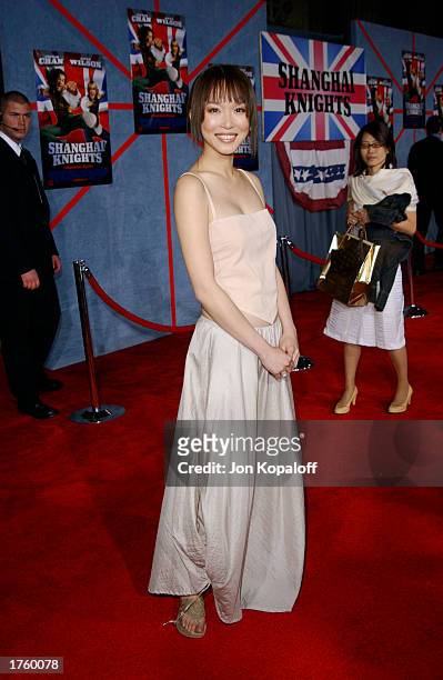 Actress Fann Wong attends the premiere of "Shanghai Knights" at the El Capitan Theater on February 3, 2003 in Hollywood, California.