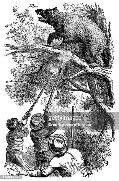 joe, john and charlie shooting the bear in the hard-scrabble of elm island by elijah kellogg - 19th century - bear shooting stock illustrations