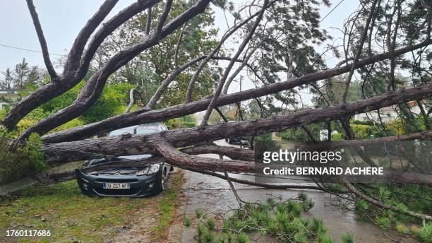 This general view shows a fallen tree across a vehicle on a street of Stella Plage near Le Touquet, northern France on November 2 after high winds...