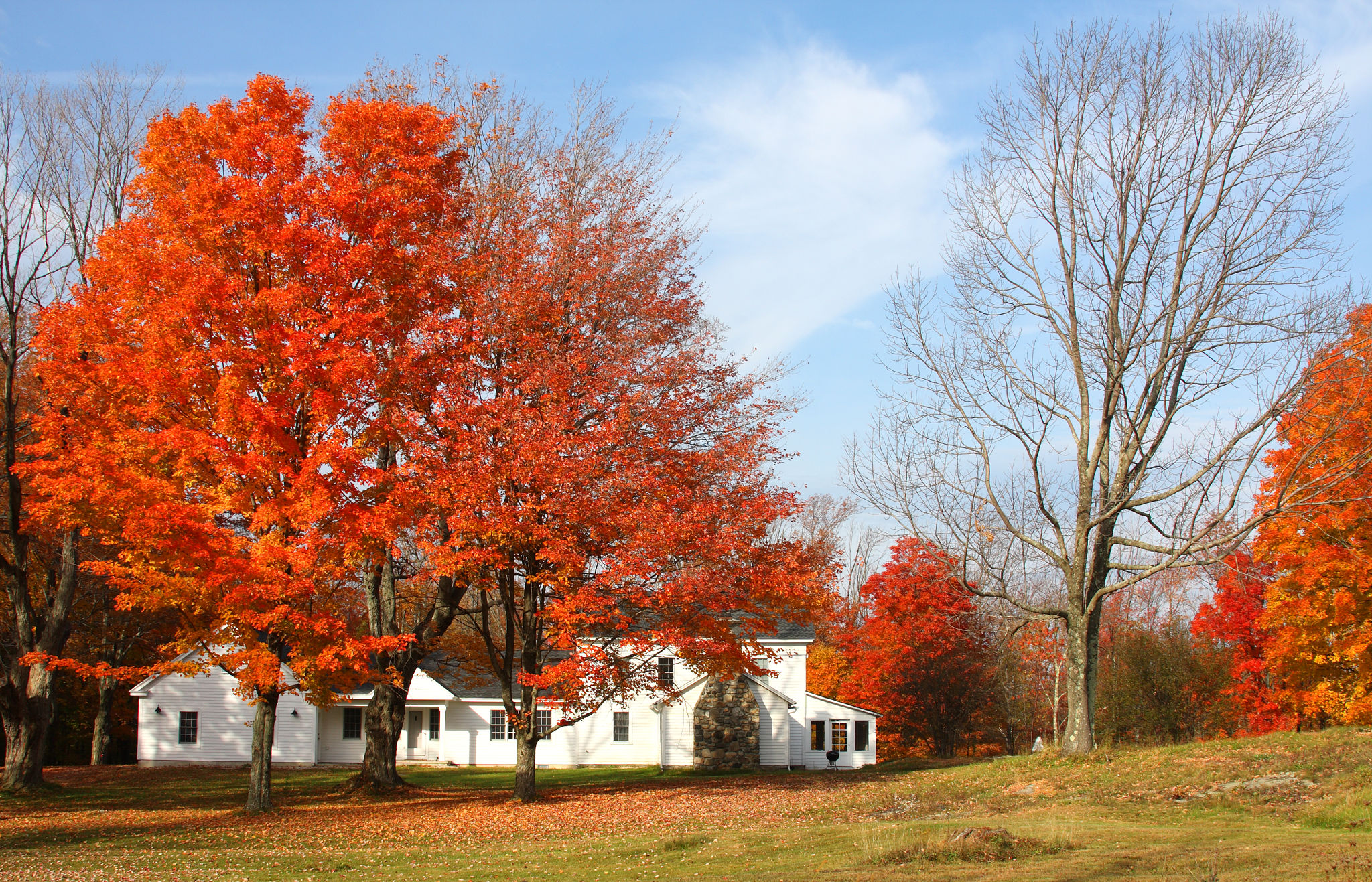 autumn home colors