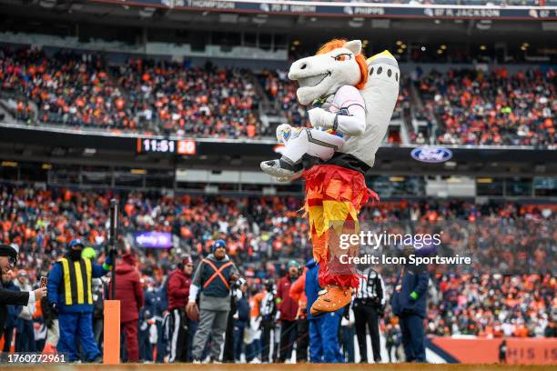 Bronco Rider Costumes 786 Denver Broncos Mascot Stock Photos, High-Res Pictures, and Images ...