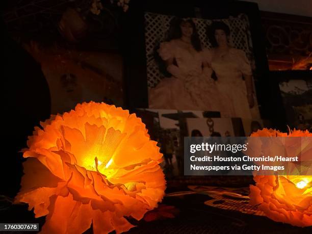 Marigolds are a staple for Dia de los Muertos and are put on offrendas.