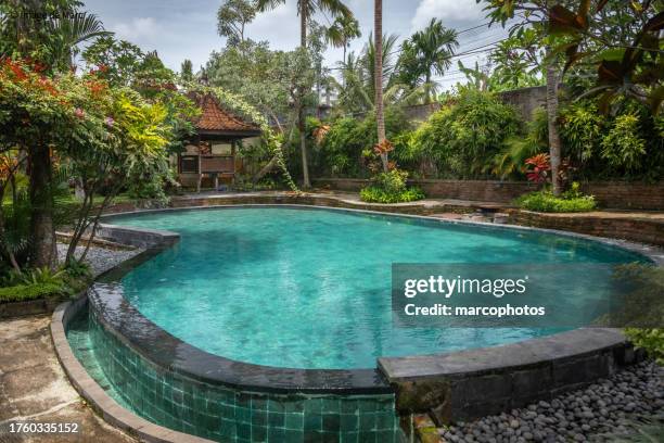 pool in ubud, bali, indonesien. - indonésia stock-fotos und bilder