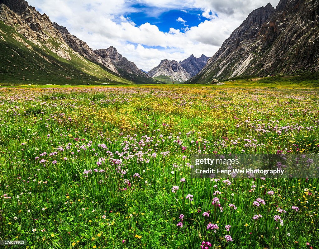 Nianbaoyuze National Geopark, Qinghai China