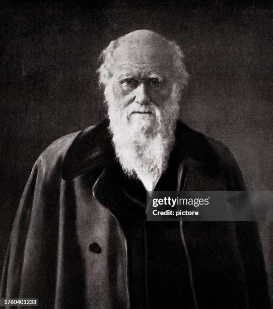 charles darwin: naturforscher(xxxl) - charles darwin stock-grafiken, -clipart, -cartoons und -symbole