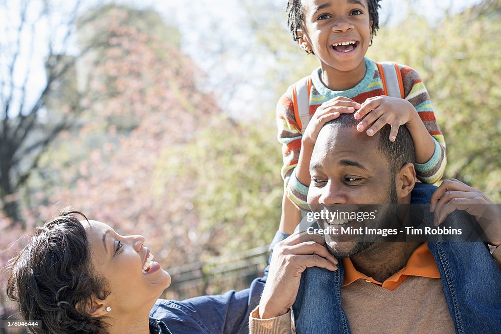 A New York city park in the spring. Sunshine and cherry blossom. A father carrying his son on his shoulders.