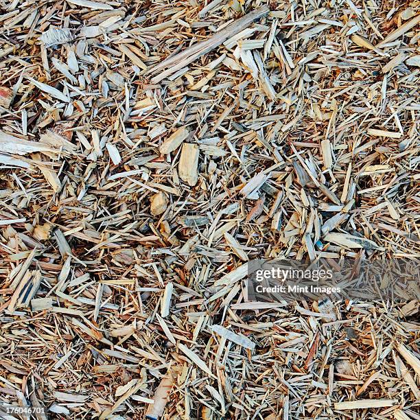 close up of bark wood chips used for landscaping, near quincy, usa - bark mulch stock pictures, royalty-free photos & images