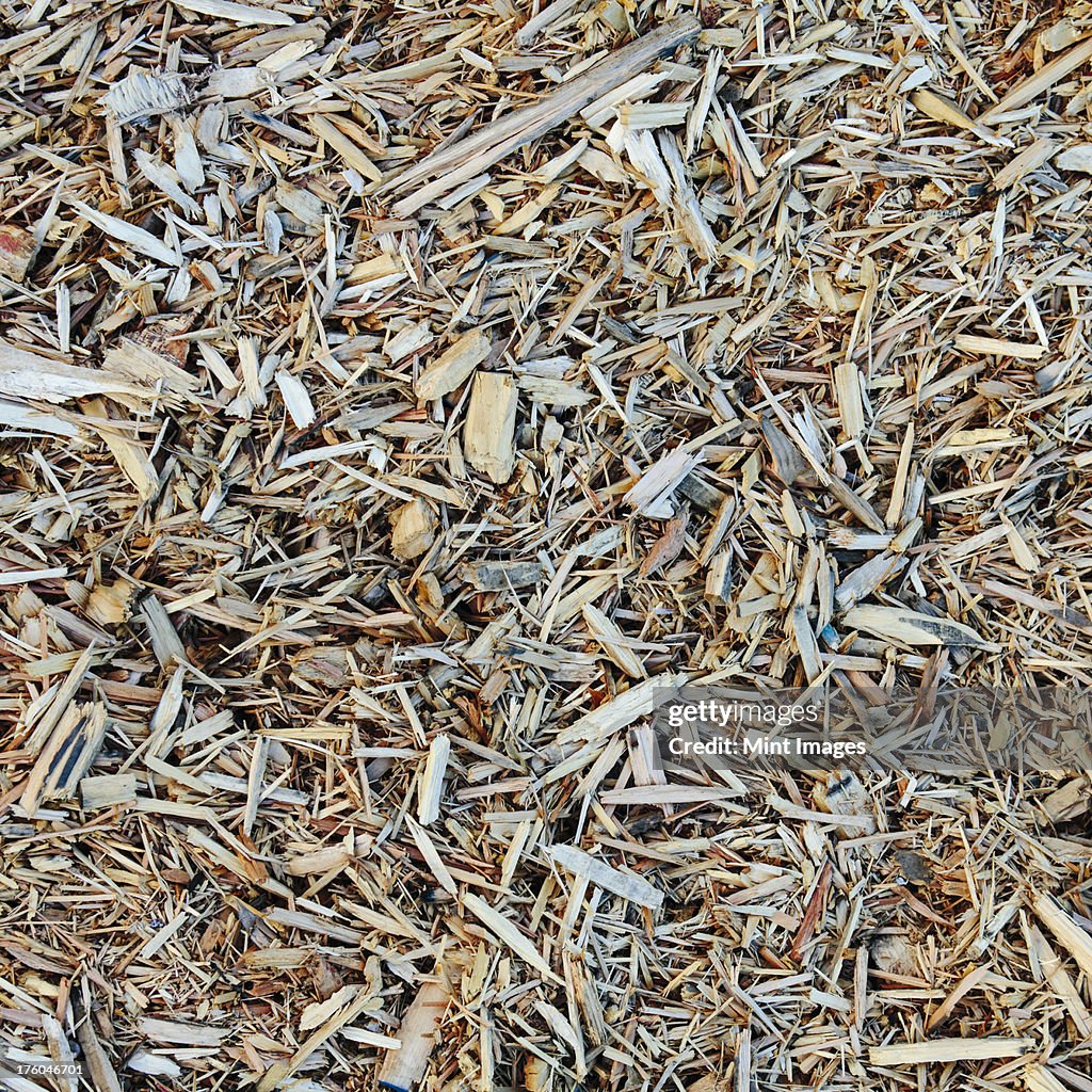 Close up of bark wood chips used for landscaping, near Quincy, USA