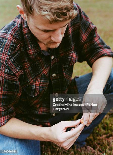 a cranberry farm in massachusetts. crops in the fields. a young man working on the land, harvesting the crop. - cranberry harvest stock-fotos und bilder
