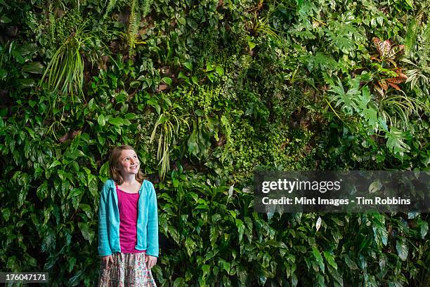 natur in der stadt in den frühling. eine urban lifestyle - vertical garden stock-fotos und bilder