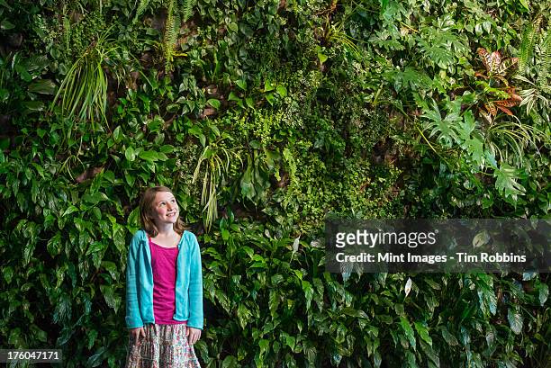 outdoors in the city in spring. an urban lifestyle. a young girl standing in front of a wall covered with ferns and climbing plants. - living_walls stock pictures, royalty-free photos & images