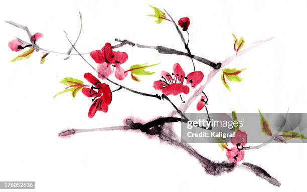 blossom painting - japanese tree drawing stock illustrations
