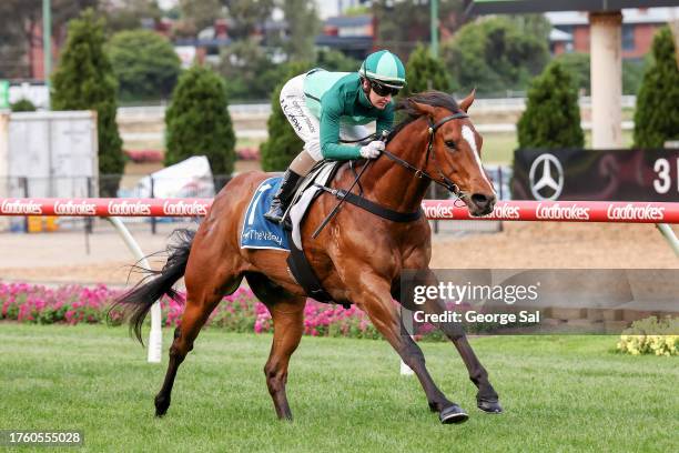 Mr Mojo Risin' ridden by Jamie Kah wins the Christmas At The Valley Handicap at Moonee Valley Racecourse on November 03, 2023 in Moonee Ponds,...