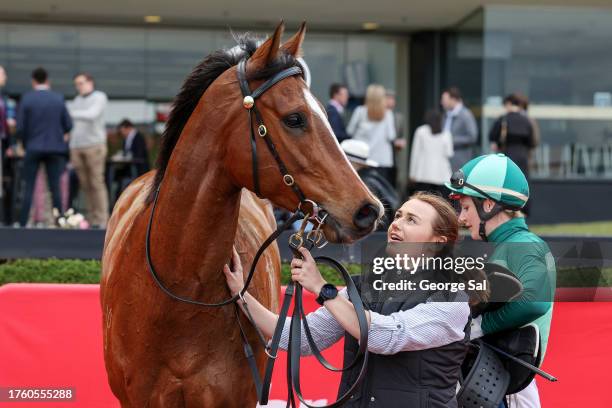 Mr Mojo Risin' after winning the Christmas At The Valley Handicap at Moonee Valley Racecourse on November 03, 2023 in Moonee Ponds, Australia.