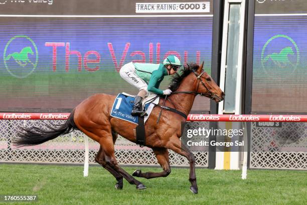 Mr Mojo Risin' ridden by Jamie Kah wins the Christmas At The Valley Handicap at Moonee Valley Racecourse on November 03, 2023 in Moonee Ponds,...