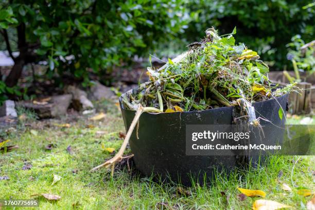 overflowing compost bin - biodegradable stock pictures, royalty-free photos & images