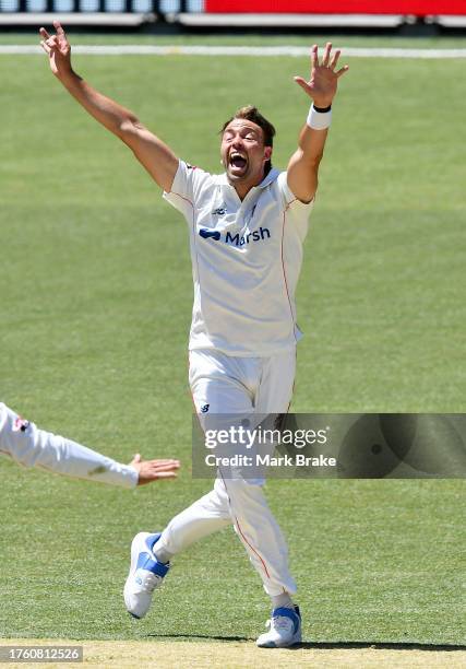 Harry Conway of the Redbacks appeals during the Sheffield Shield match between South Australia and Western Australia at Adelaide Oval, on October 28...