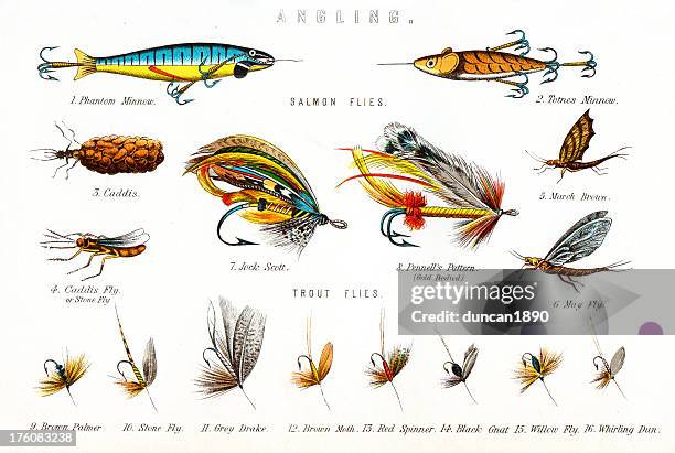 ilustraciones, imágenes clip art, dibujos animados e iconos de stock de pesca vuela-angling - fly fishing