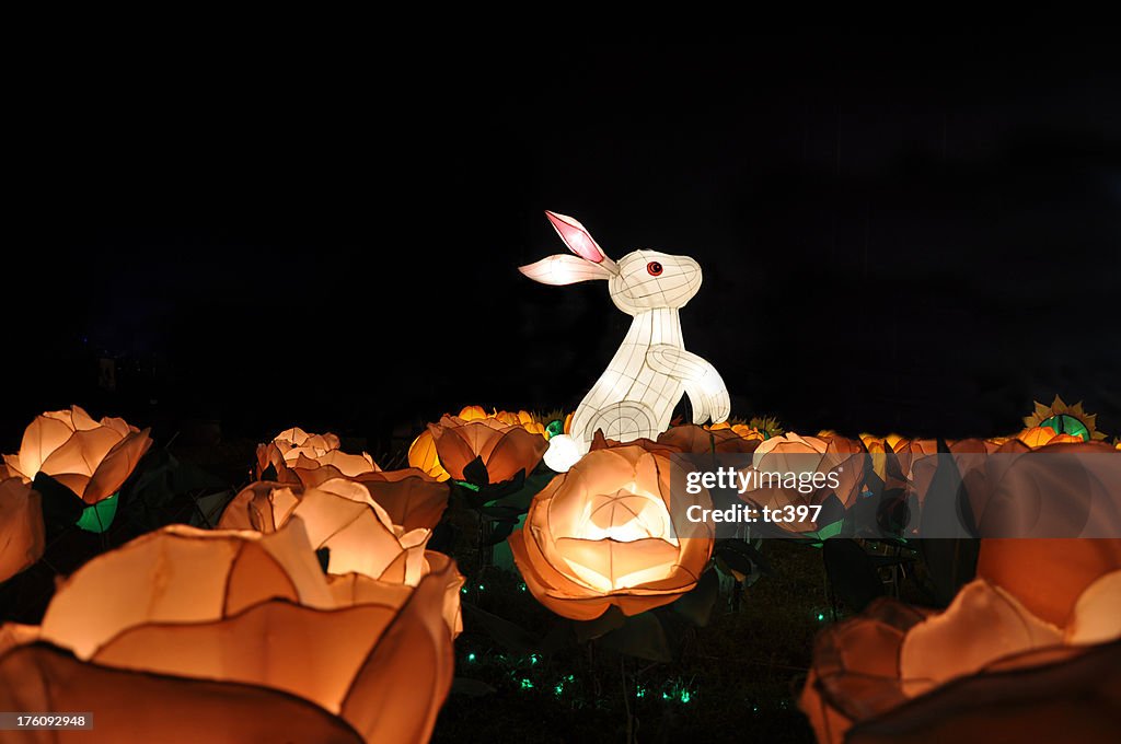 Chinese Mid Autumn Festival Rabbit in the Rose Garden Lantern