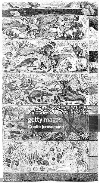 stockillustraties, clipart, cartoons en iconen met layers of the earth - nijlpaard