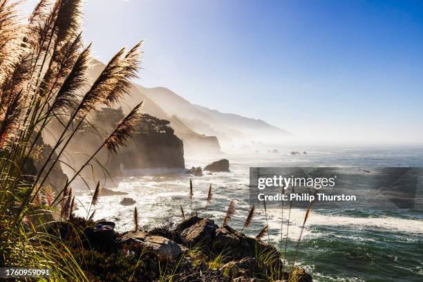 küstenszene des big sur state parks an einem warmen, sonnigen morgen mit lichtstrahlen - big sur stock-fotos und bilder