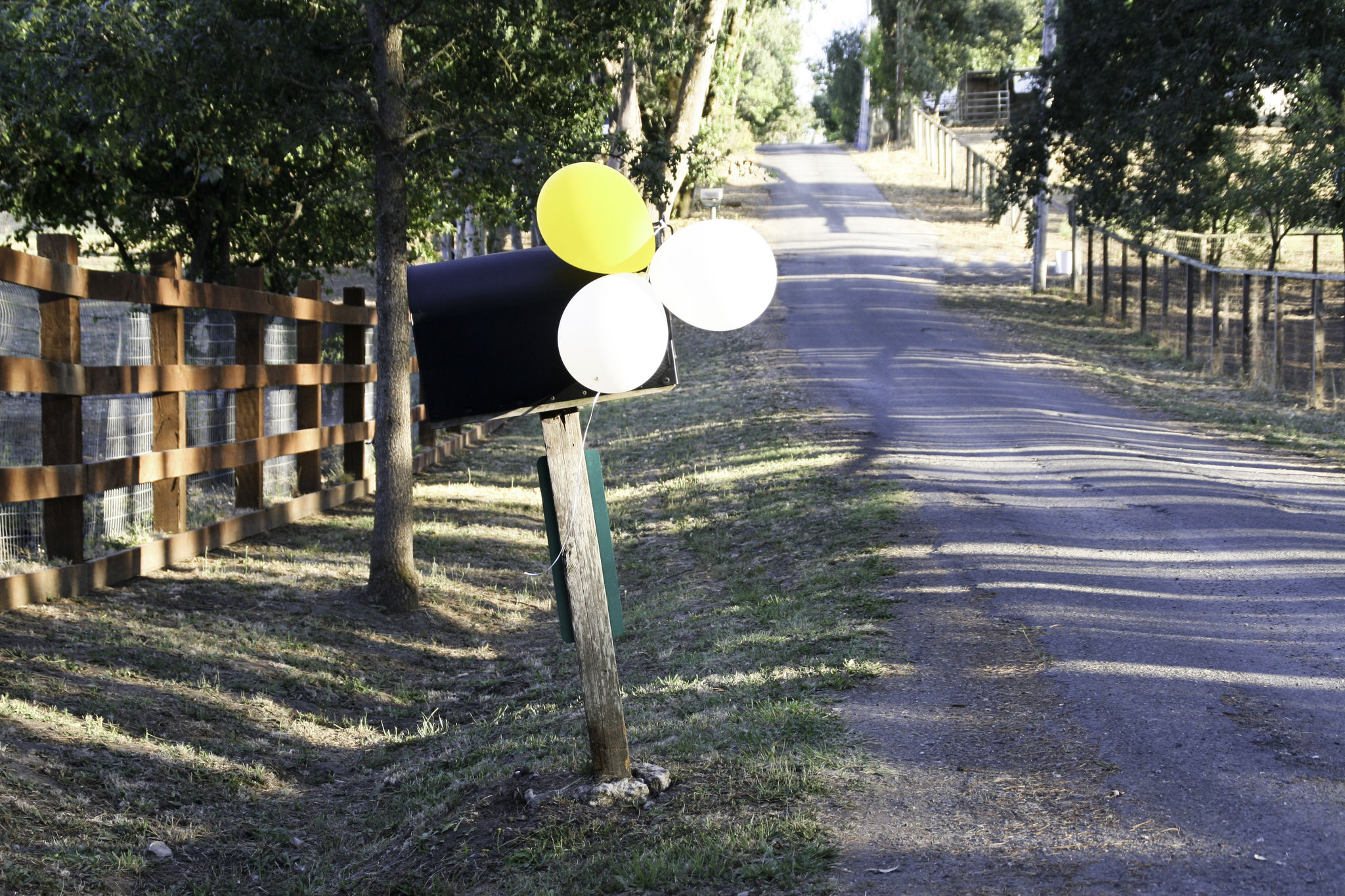 spring mailbox decorations