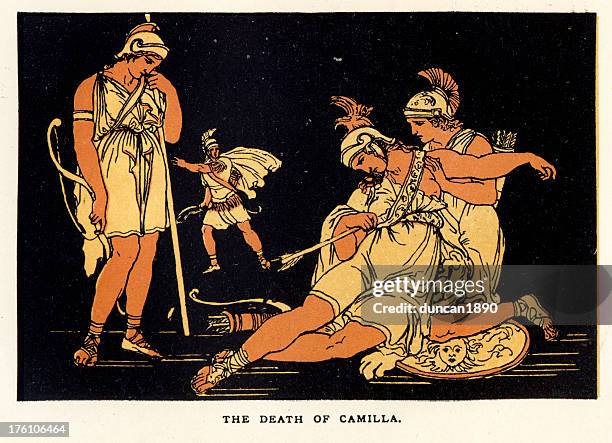 death of camilla - amazonas state brazil stock illustrations