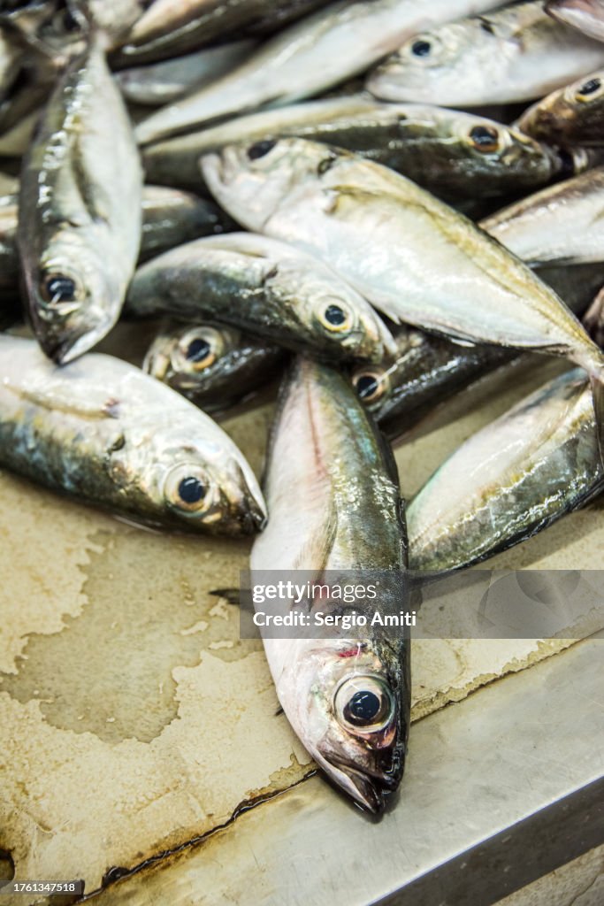 Omani yellowstripe trevally fish on sale at market