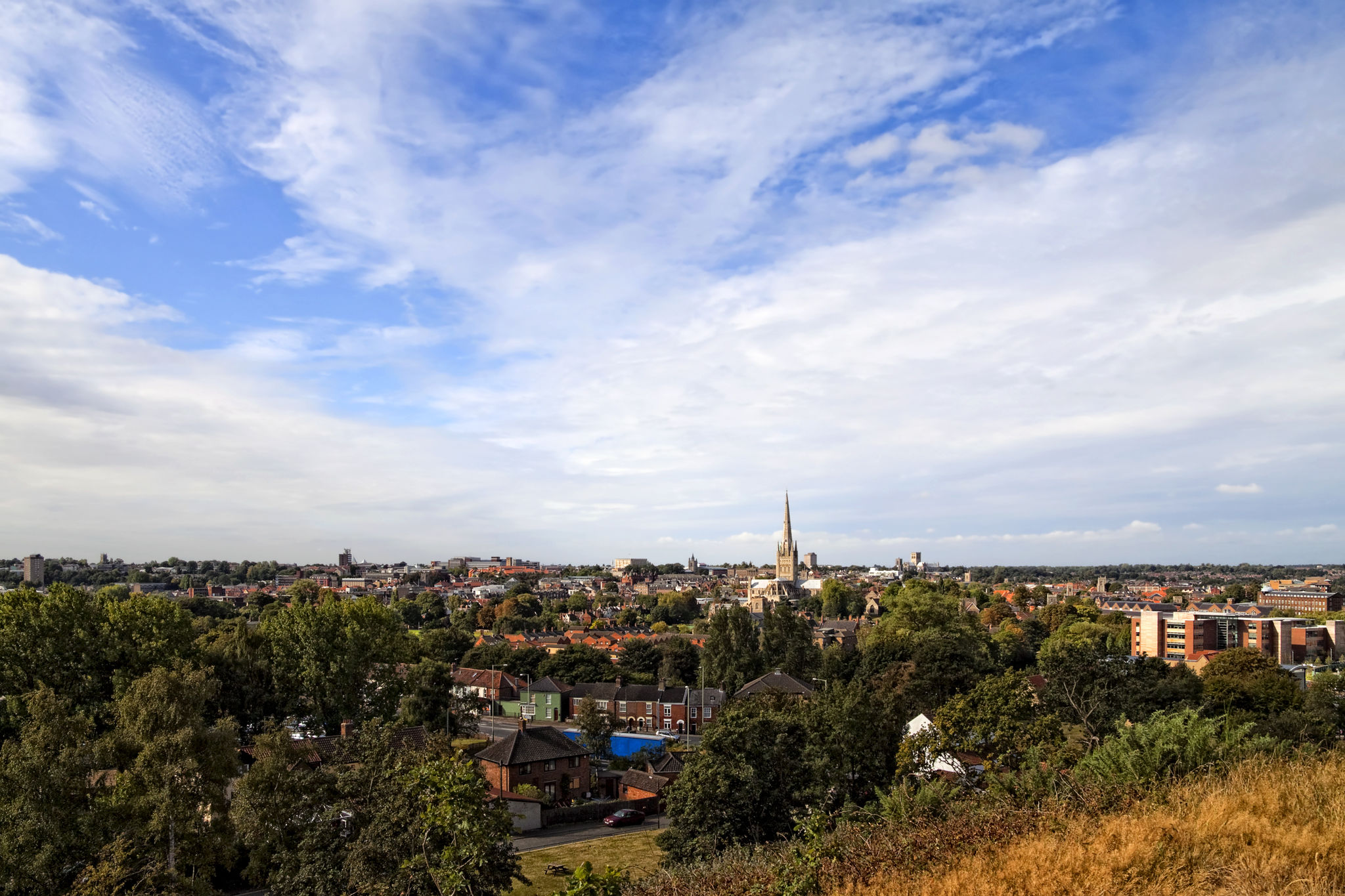 Norwich from Mousehold Heath Norwich from Mousehold Heath