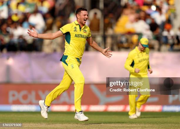 Josh Hazlewood of Australia celebrates after taking the wicket of Will Young of New Zealand during the ICC Men's Cricket World Cup India 2023 Group...