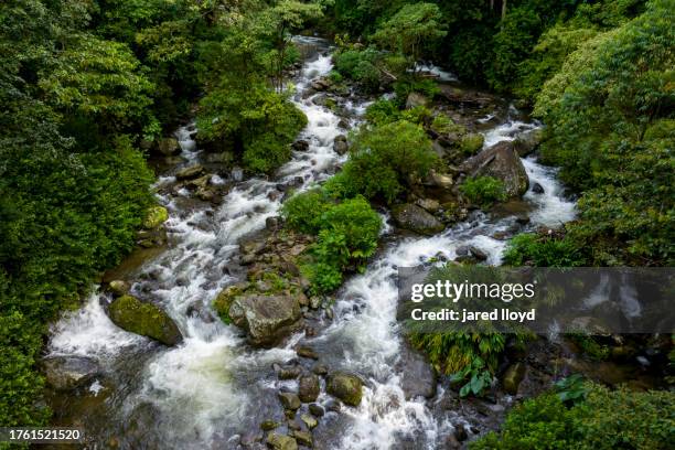 rio caldera flowing out of panama cloud forest - caldera stock pictures, royalty-free photos & images