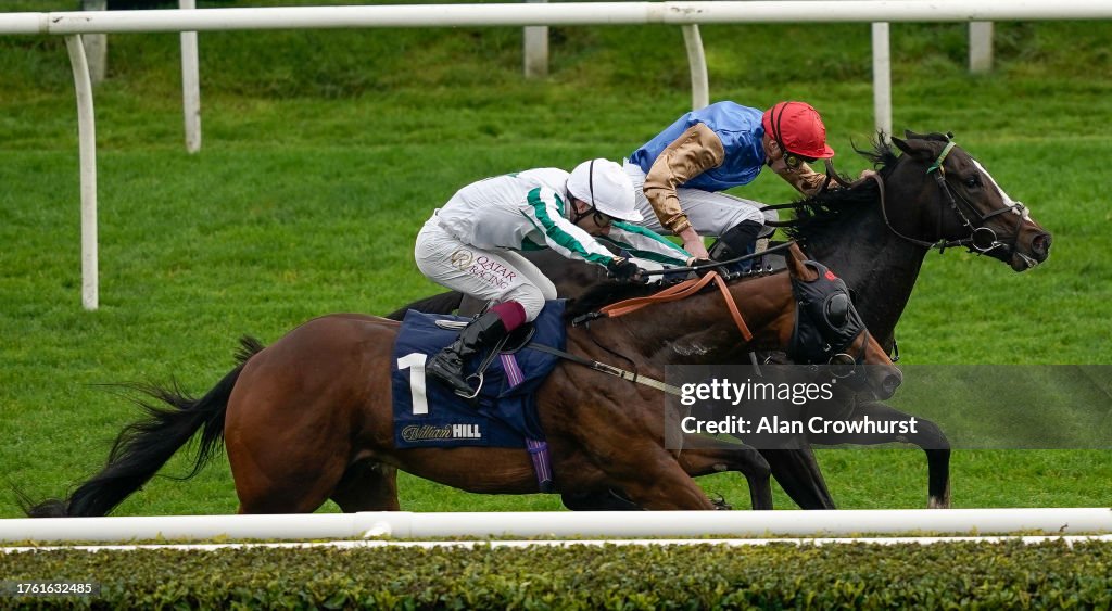 James Doyle riding Ballymount Boy win The William Hill Prospect... News ...