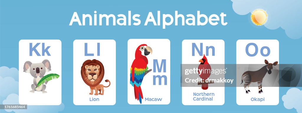 Animals Alphabet K to O for Kids