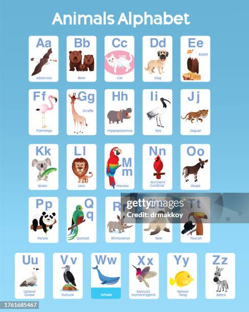 illustrations, cliparts, dessins animés et icônes de alphabet des animaux de a à z pour les enfants - ordre alphabétique