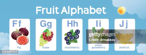 fruits alphabet a to z for kids - jackfruit stock illustrations