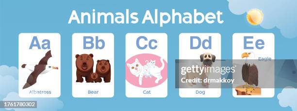 animals alphabet a to e for kids - albatross stock illustrations