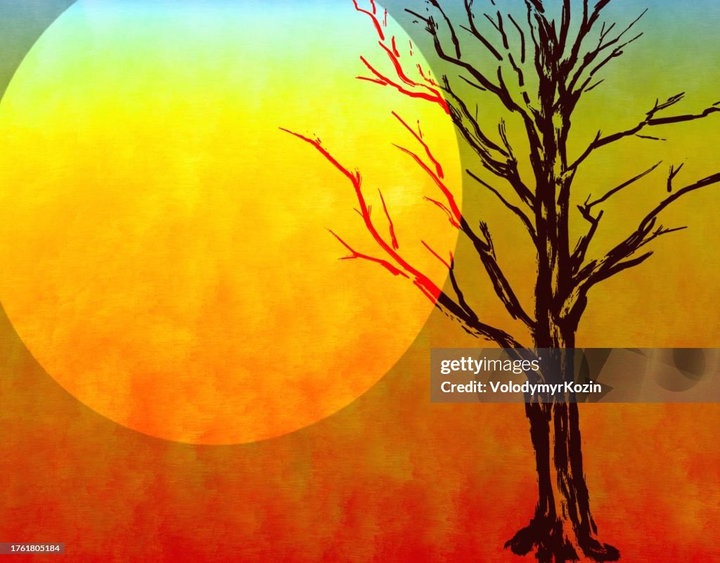 Ein verdorrter Baum auf dem Hintergrund einer heißen Sonnenscheibe
