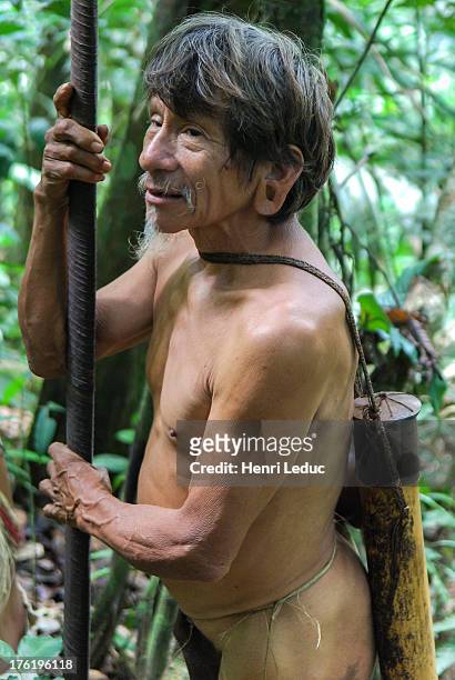 Mocka, old Huaorani warrior with his blowpipe. The Huaorani, also known as the Waos, are native Amerindians from the Amazonian Region of Ecuador ....