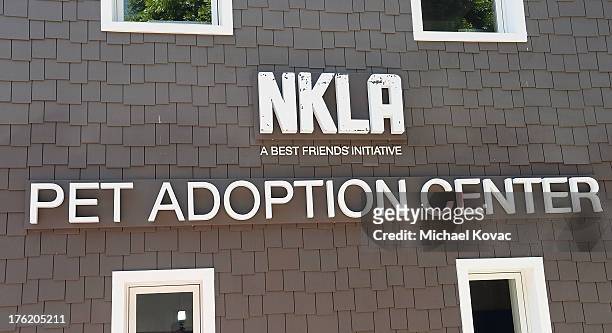 General view of atmosphere at the NKLA Pet Adoption Center Opening Celebration at the NKLA Pet Adoption Center on August 11, 2013 in Los Angeles,...