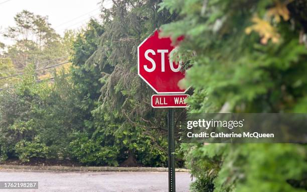 road safety: stop sign partially hidden by shrubs - hiding behind bush stock pictures, royalty-free photos & images