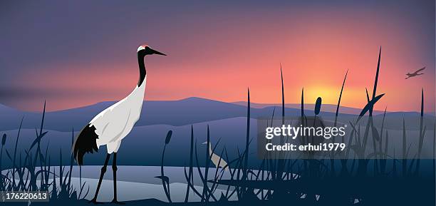 stockillustraties, clipart, cartoons en iconen met crowned crane - swamp